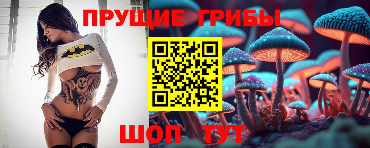 Галлюциногенные грибы Psilocybine cubensis Чехов
