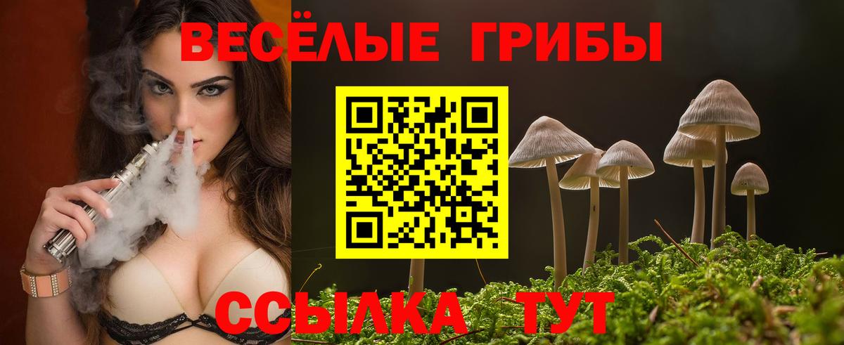 Псилоцибиновые грибы прущие грибы  Вход с VPN  Чехов 